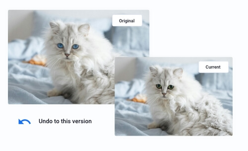 PhotoBerry Studio image revisions feature to track changes by uploading multiple versions of an image