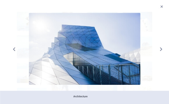 PhotoBerry Studio lightbox viewer showing photos in an elegant fullscreen view with slider navigation