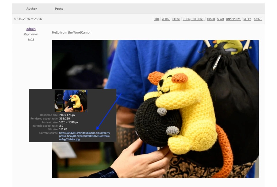 Browser inspector showing the forum image served from the Infinite Uploads CDN address