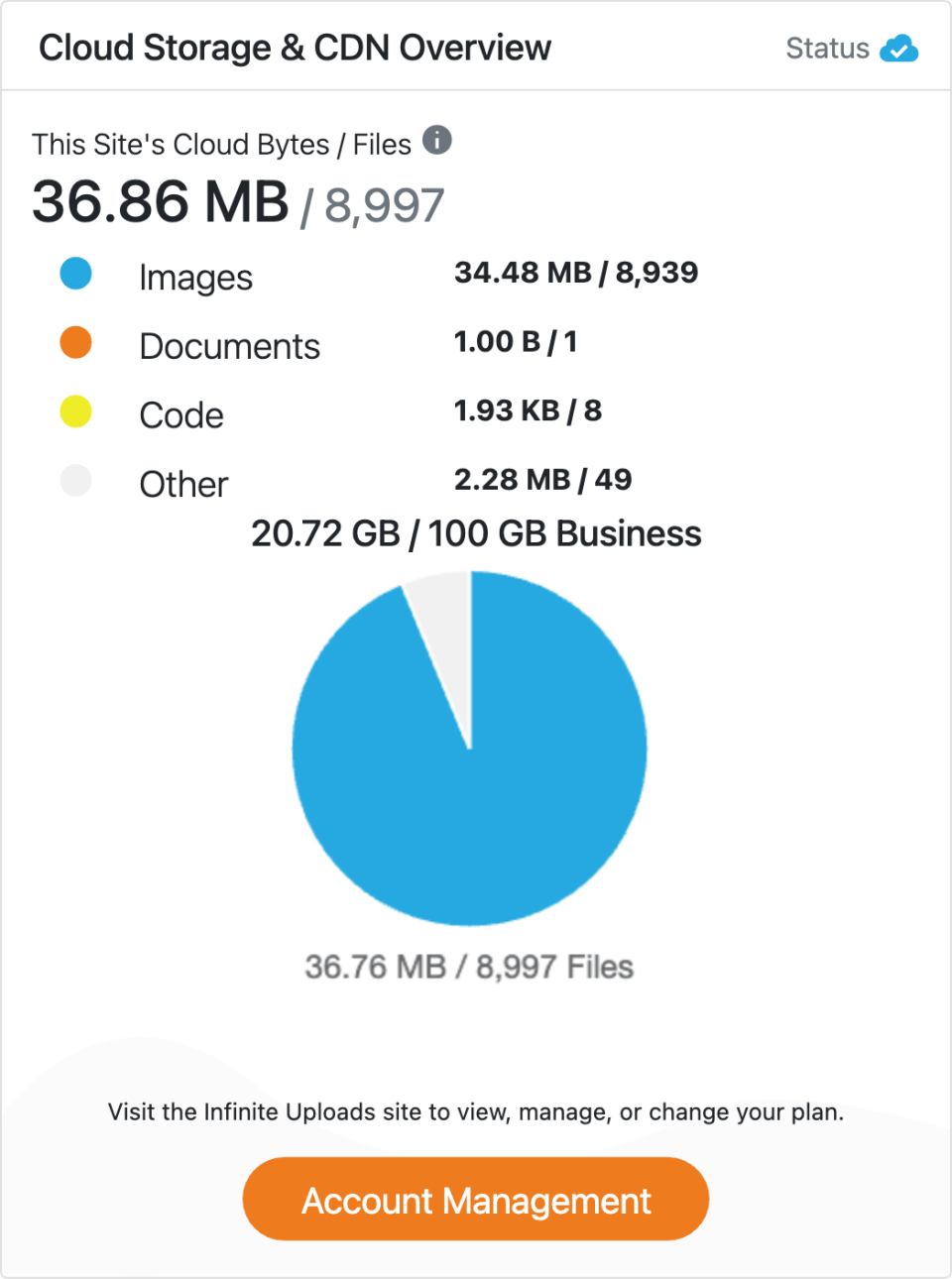 Infinite Uploads Cloud Storage and CDN Overview screen showing the connected site and files stored in the cloud